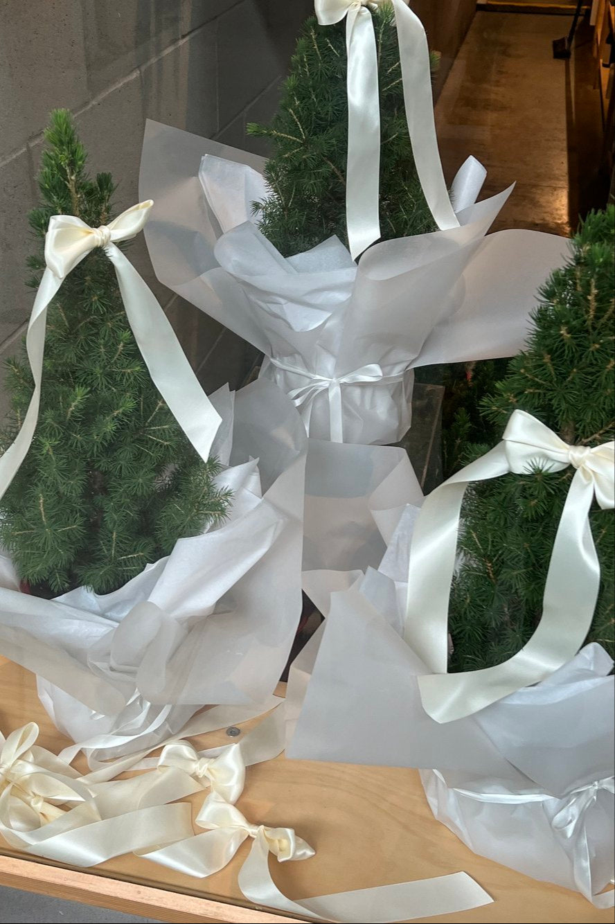 CHRISTMAS TREES