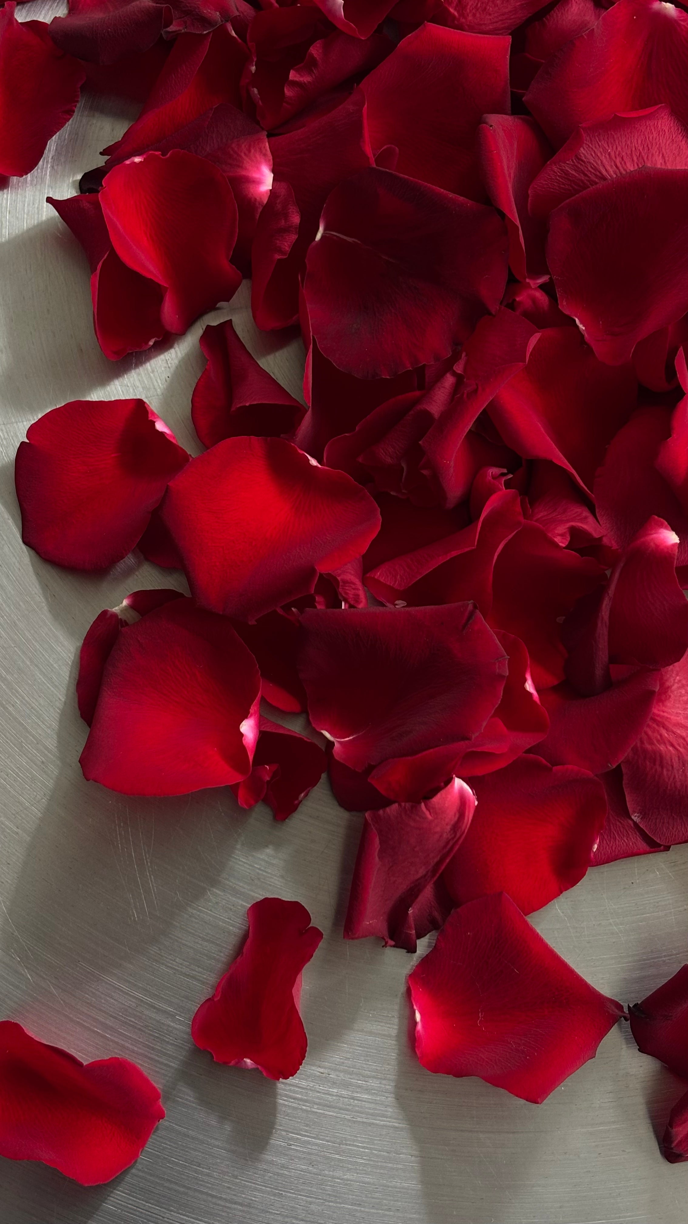 ROSE PETALS