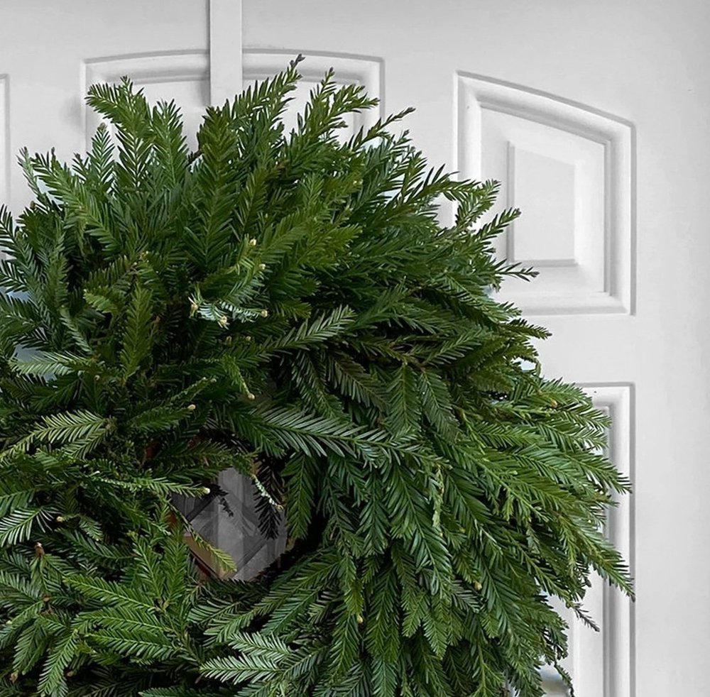 PINE WREATH
