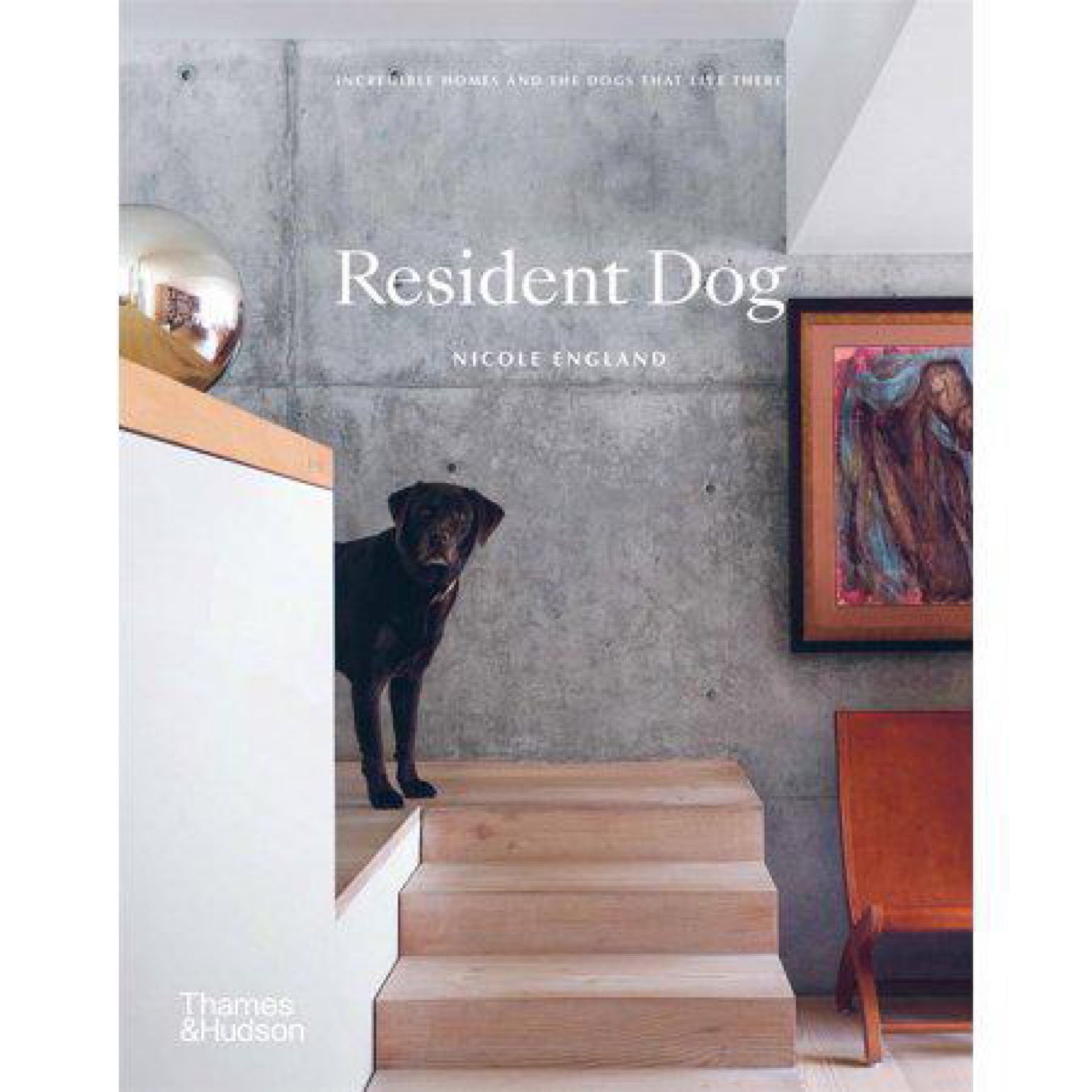 Resident Dog (Volume 2)